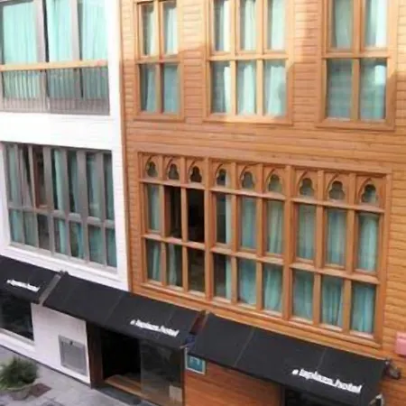 Hotel La Plaza Ii 3*